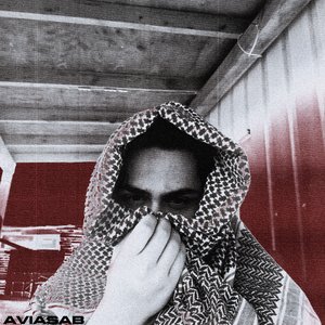 Aviasab 的头像