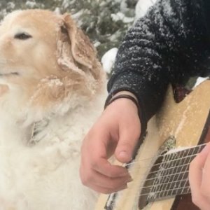 AcousticTrench 的头像