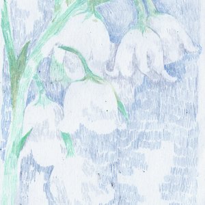 hear a whisper - Single