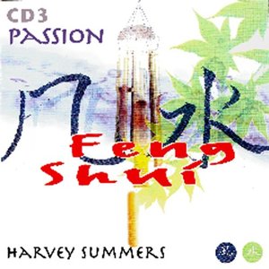 Feng Shui - Passion (Disc 3)