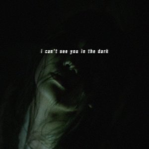 I Can't See You in the Dark