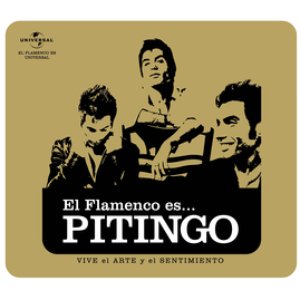 Flamenco es... Pitingo