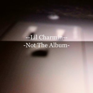 Not The Album