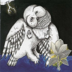 The Magnolia Electric Co (10th Anniversary Deluxe Edition)