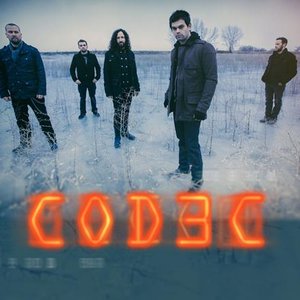 Codec 的头像