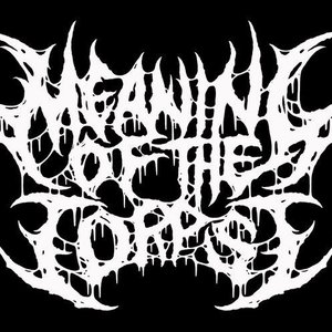 Meaning Of The Corpse 的头像