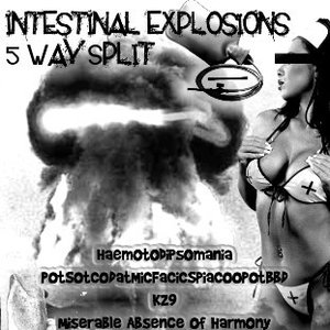 Intestinal Explosions 5 Way Split