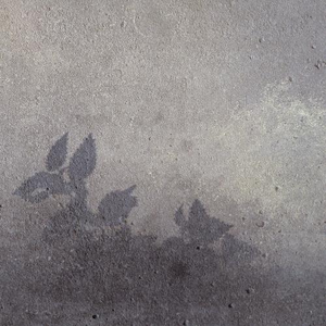 Leaves cover