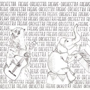 Immagine per 'Orchestra Freaks'