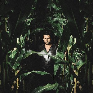Avatar for BLACK PALMS ORCHESTRA