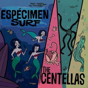 Espécimen Surf