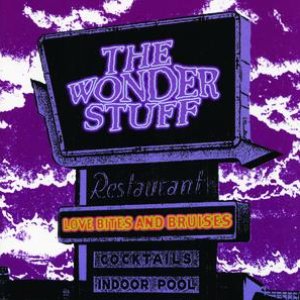 Love Bites & Bruises -A  Wonder Stuff Compilation