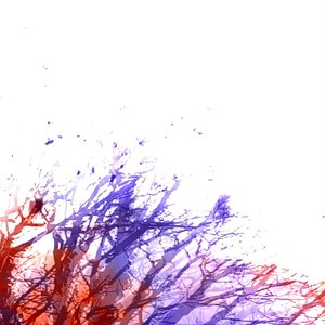 White Grass (When Winter's Over)