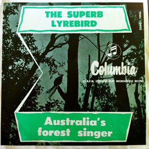 The Superb Lyrebird: Australia's Forest Singer