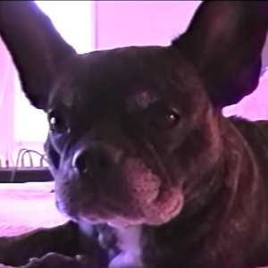 g r e e k t r a g e d y (Slowed)