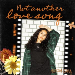 Not Another Love Song