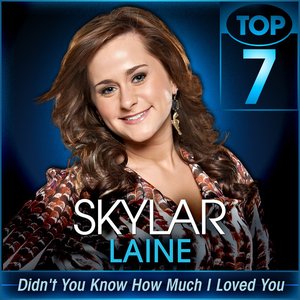 Didn't You Know How Much I Loved You (American Idol Performance) - Single