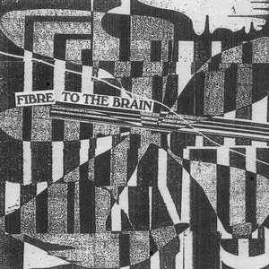 Fibre To The Brain