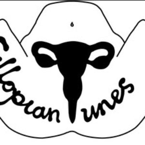 Fallopian Tunes 的头像