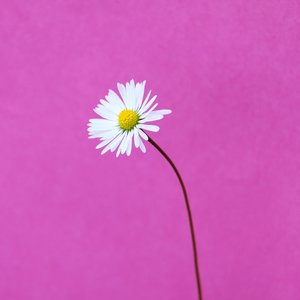 Help - Single