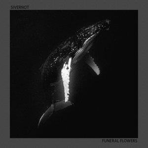 Мать-земля (Funeral Flowers Cover) - Single
