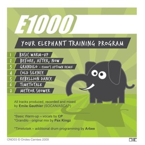 Your Elephant Training Program