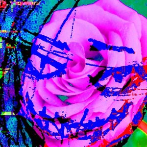 Ms. Gyroscope 的头像