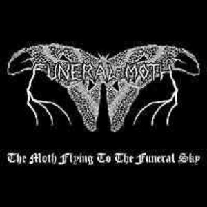 The Moth Flying To The Funeral Sky