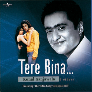 Tere Bina Jeena Nahin cover