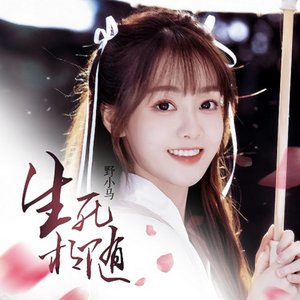 Avatar de 野小马