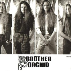 Brother Orchid için avatar