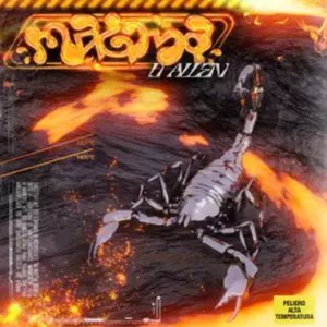 Magma