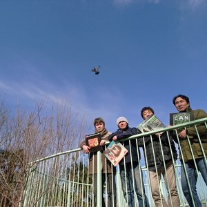 Avatar for Glove Senses