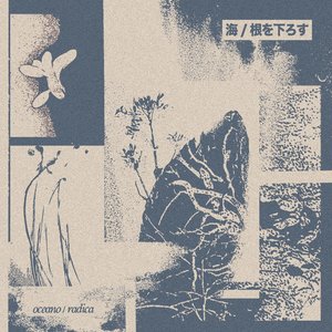oceano / radica