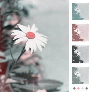 New - Single