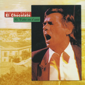 Siguiriya cover