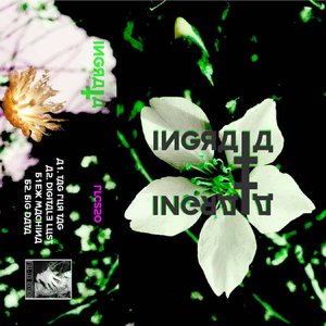 Ingrata için avatar