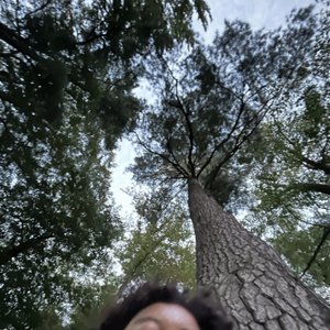 My Only - Single