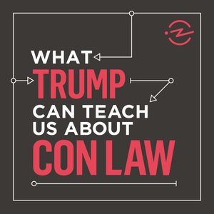 Image for 'What Trump Can Teach Us About Con Law'