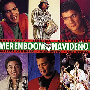 Merenboom Navideño