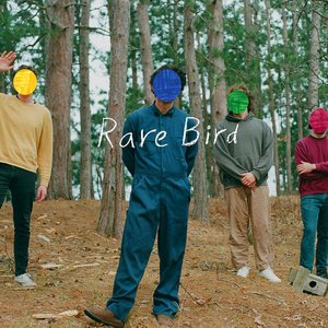 Rare Bird