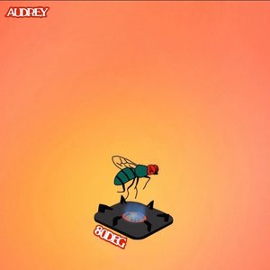 Audrey - 80deg - Zortam Music
