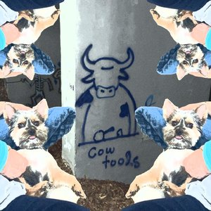 Wildlife Preserve - Single