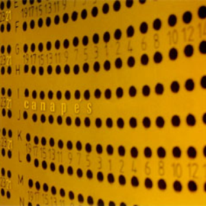 Akinefrón cover