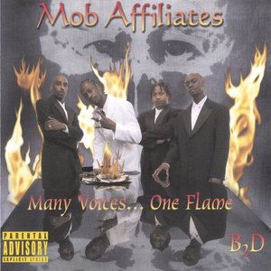 Many Voices... One Flame