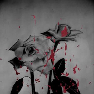 Avatar di So Romantic