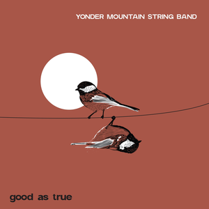 Yonder Mountain String Band - Good As True - Zortam Music
