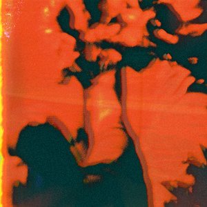 Ashes / She