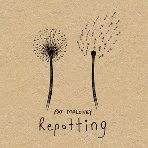 Repotting
