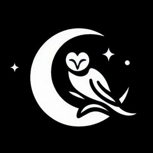 Midnight Muse 的头像